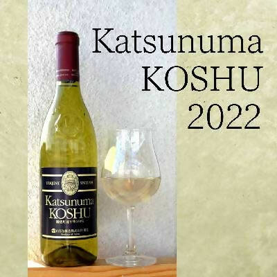 KOSHU 1999 甲州熟成ワイン 勝沼甲州 – わいんびと