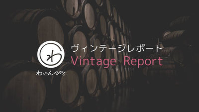 日本ワインの産地PR支援プログラム「ヴィンテージレポート」を開始