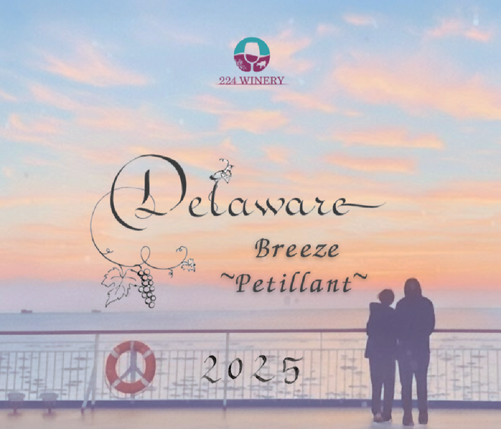 デラウェア そよ風ペティヤン｜Delaware Breeze Petillant｜小豆島