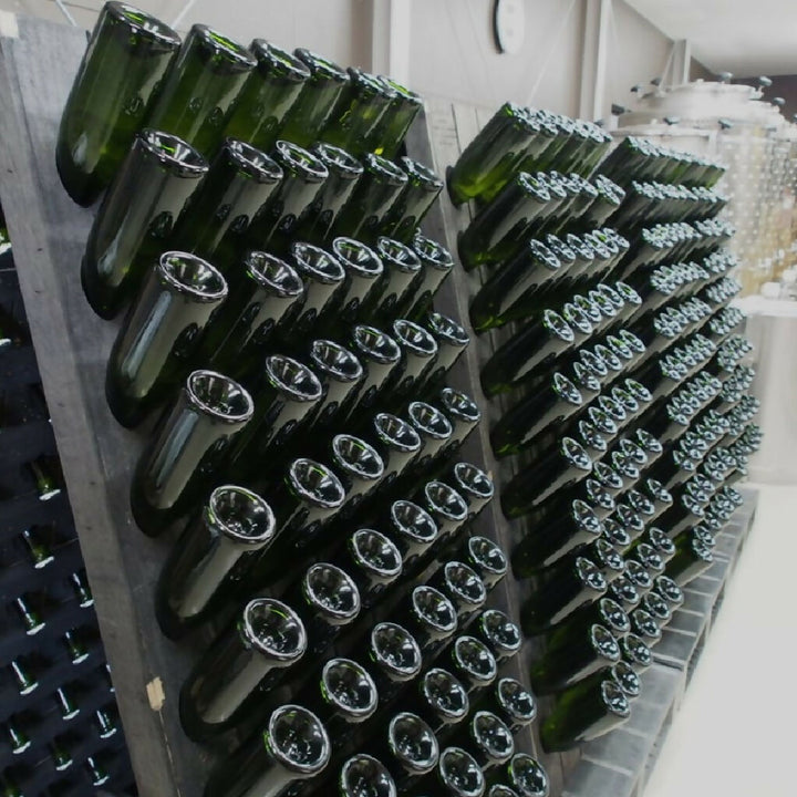 224WINERY｜島シャン｜ShimaCham｜小豆島｜香川県｜日本ワイン