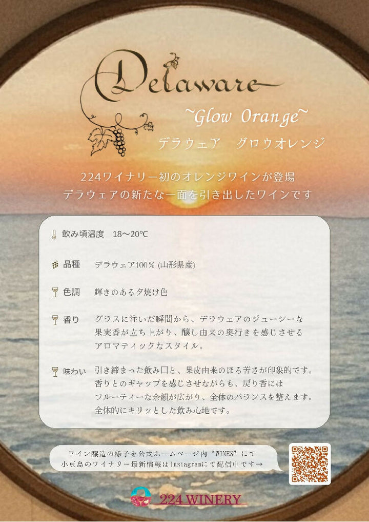デラウェア グロウオレンジ｜Delaware~Glow Orange~｜小豆島