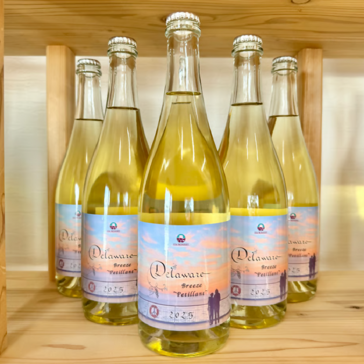 デラウェア そよ風ペティヤン｜Delaware Breeze Petillant｜小豆島