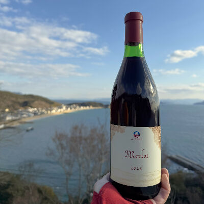 ワイン Me 楽天市場】ワインセット セレクト スパークリング ワイン ハーフサイズ