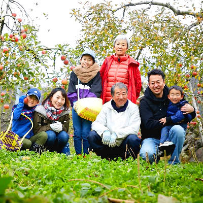 海街ワイン｜REGALO（青林 SEIRIN）シードル – わいんびと